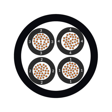 ÖLFLEX® TRAIN 350 300V 24X1