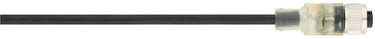 AB-C3-[L]PUR-M12FS-2L
