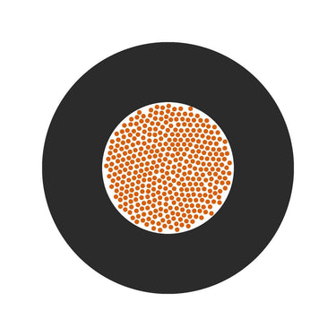 LiFY 1X2,5 GNYE